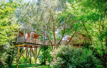 Cabane dans les arbres Le Nizan - Gironde - Cabane dans les Arbres Palombi&egrave;re