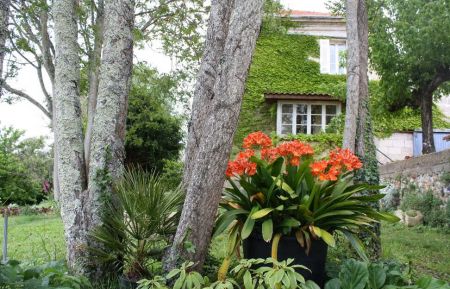 G&icirc;te n&deg;G4305 Samonac - Gironde - photo