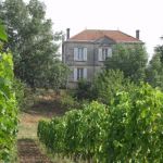 gite - Gite du Castenet - SAMONAC - Gironde