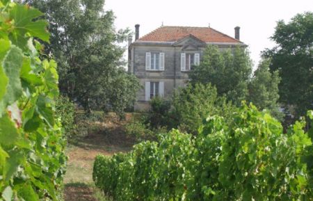 G&icirc;te n&deg;G4305 Samonac - Gironde - photo