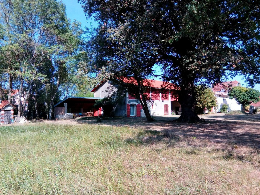 photo 0
