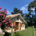 gite - La Villa au milieu des Pins - LACANAU - Gironde