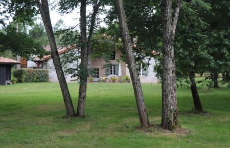 G&icirc;te n&deg;G2040 Saint-Symphorien - Gironde -  le gite dans son &eacute;crin de verdure 
