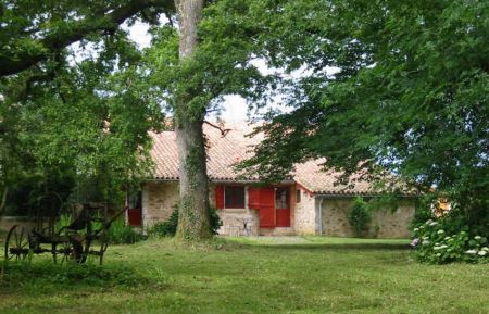 Gîte n°10539 Saugnac-et-Cambran - Landes - photo