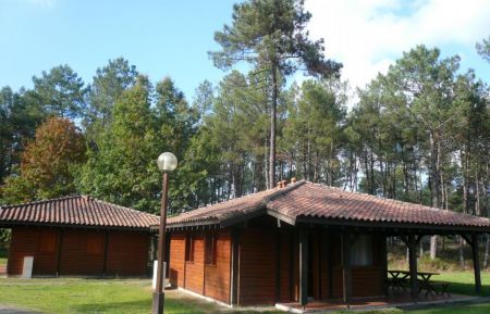 G&icirc;te n&deg;20226 Pissos - Landes - photo