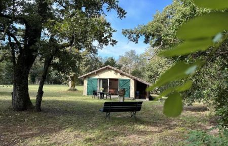Gîte n°10284 Argelouse - Landes - photo