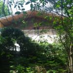 gite - Chalet des dunes - BISCARROSSE - Landes